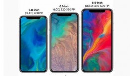 苹果价格最新爆料图,市场动态揭秘，价格走势一览无余