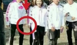 娱乐圈吃瓜的三大定律,揭秘明星背后的真相与秘密